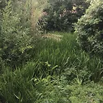 El Molino ホテル