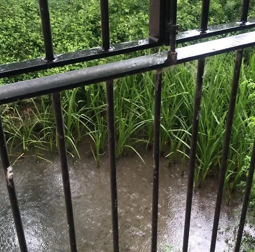 El Molino Monreal del Campo